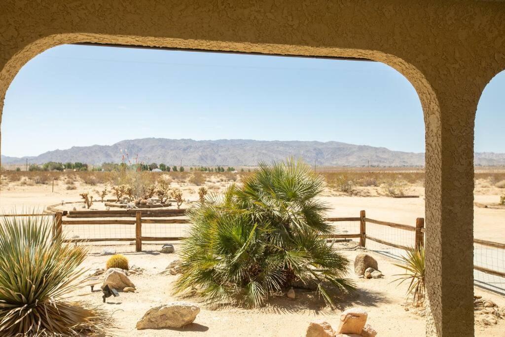 Sun Runner - Serene Desert Home W/Pool & Hot Tub Twentynine Palms Eksteriør billede