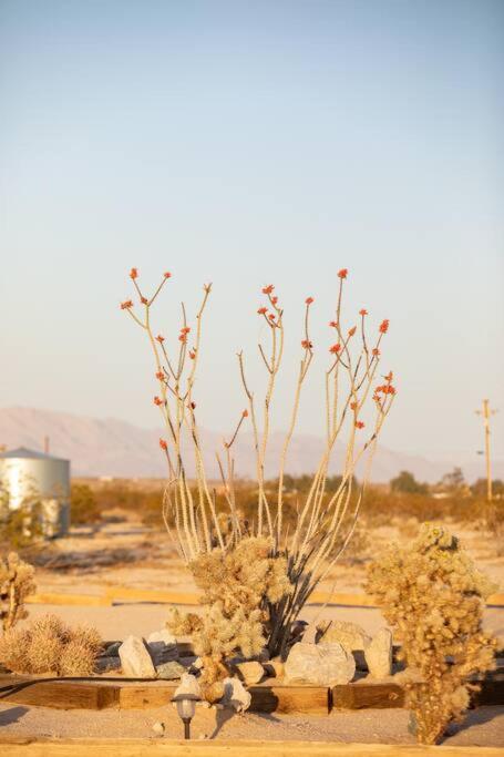 Sun Runner - Serene Desert Home W/Pool & Hot Tub Twentynine Palms Eksteriør billede